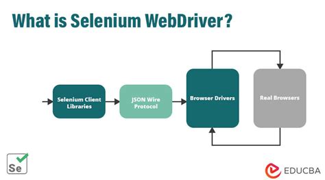 selenium webdriver cost